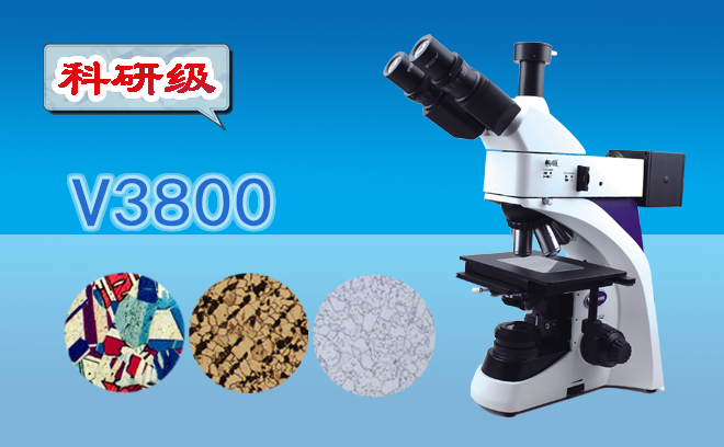 1766979561199743.png 金相顯微鏡.png